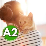 Un service entre amis A2
