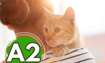 Un service entre amis A2