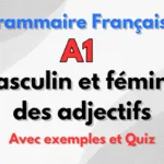 Masculin et féminin des adjectifs et professions en français A1